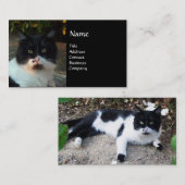 ZWARTE EN WITTE TURKSE CAT PIERO VISITEKAARTJE (Voorkant / Achterkant)