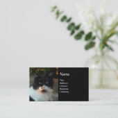 ZWARTE EN WITTE TURKSE CAT PIERO VISITEKAARTJE (Staand voorkant)