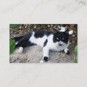 ZWARTE EN WITTE TURKSE CAT PIERO VISITEKAARTJE (Achterkant)