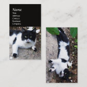ZWARTE EN WITTE TURKSE CAT PIERO VISITEKAARTJE (Voorkant / Achterkant)
