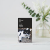 ZWARTE EN WITTE TURKSE CAT PIERO VISITEKAARTJE (Staand voorkant)