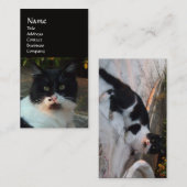ZWARTE EN WITTE TURKSE CAT PIERO VISITEKAARTJE (Voorkant / Achterkant)