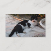 ZWARTE EN WITTE TURKSE CAT PIERO VISITEKAARTJE (Achterkant)