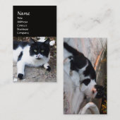 ZWARTE EN WITTE TURKSE CAT PIERO VISITEKAARTJE (Voorkant / Achterkant)