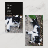 ZWARTE EN WITTE TURKSE CAT PIERO VISITEKAARTJE (Voorkant / Achterkant)