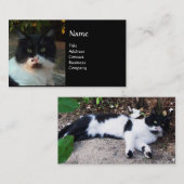ZWARTE EN WITTE TURKSE CAT PIERO VISITEKAARTJE (Voorkant / Achterkant)