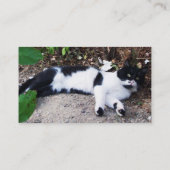 ZWARTE EN WITTE TURKSE CAT PIERO VISITEKAARTJE (Achterkant)