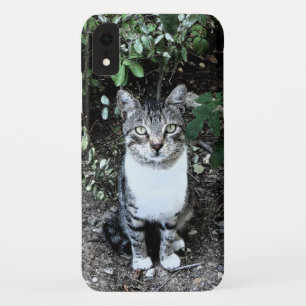 ZWARTE EN WITTE TURKSE CAT RONIN iPhone XR HOESJE