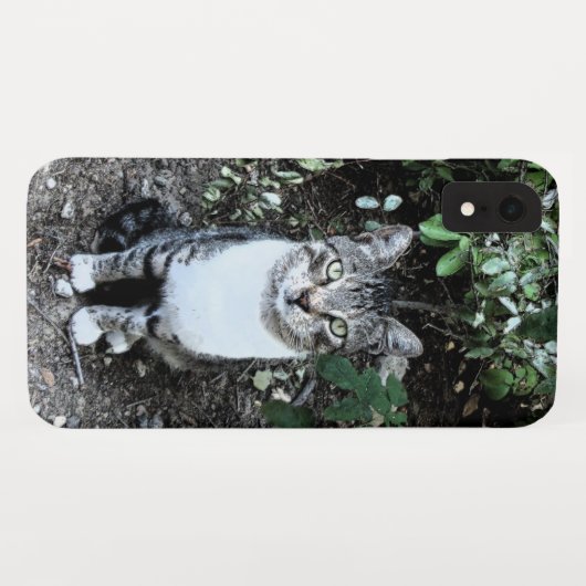 ZWARTE EN WITTE TURKSE CAT RONIN Case-Mate iPhone CASE (Achterkant (horizontaal))
