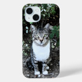 ZWARTE EN WITTE TURKSE CAT RONIN Case-Mate iPhone CASE (Achterkant)