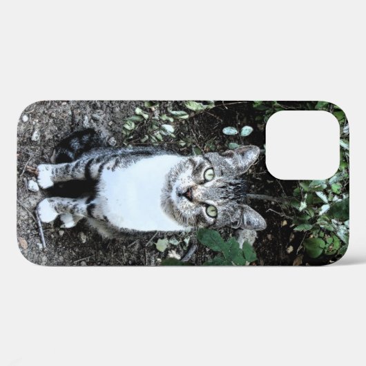 ZWARTE EN WITTE TURKSE CAT RONIN Case-Mate iPhone CASE (Achterkant (horizontaal))