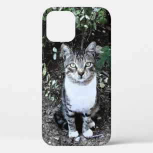 ZWARTE EN WITTE TURKSE CAT RONIN Case-Mate iPhone CASE