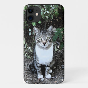 ZWARTE EN WITTE TURKSE CAT RONIN iPhone 11 HOESJE