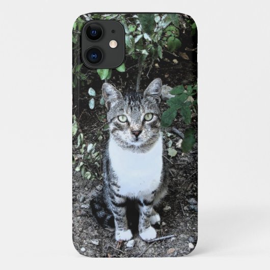 ZWARTE EN WITTE TURKSE CAT RONIN Case-Mate iPhone CASE (Achterkant)