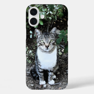 ZWARTE EN WITTE TURKSE CAT RONIN iPhone 16 PLUS HOESJE