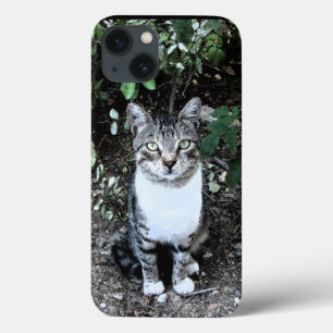 ZWARTE EN WITTE TURKSE CAT RONIN iPhone 13 HOESJE