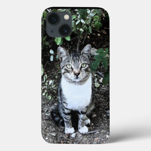 ZWARTE EN WITTE TURKSE CAT RONIN Case-Mate iPhone CASE (Achterkant)