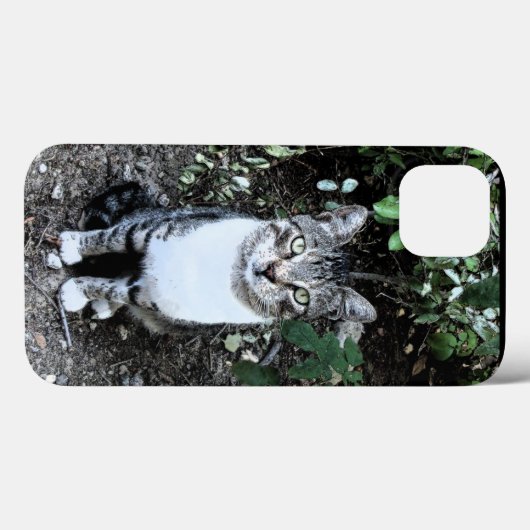 ZWARTE EN WITTE TURKSE CAT RONIN Case-Mate iPhone CASE (Achterkant (horizontaal))