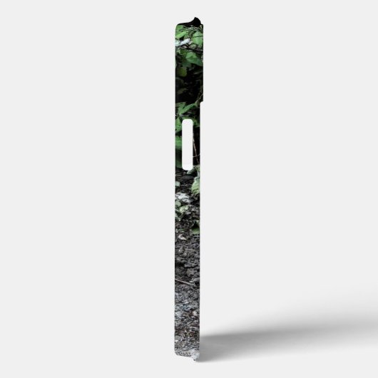 ZWARTE EN WITTE TURKSE CAT RONIN Case-Mate iPhone CASE (Achterkant / Rechts)