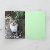 ZWARTE EN WITTE TURKSE CAT RONIN KAART (Binnen)