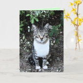 ZWARTE EN WITTE TURKSE CAT RONIN KAART (Gele Bloem)