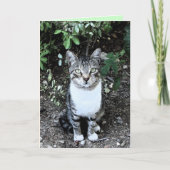 ZWARTE EN WITTE TURKSE CAT RONIN KAART (Voorkant)