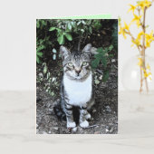 ZWARTE EN WITTE TURKSE CAT RONIN KAART (Gele Bloem)