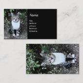 ZWARTE EN WITTE TURKSE CAT RONIN VISITEKAARTJE (Voorkant / Achterkant)