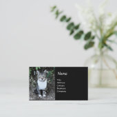 ZWARTE EN WITTE TURKSE CAT RONIN VISITEKAARTJE (Staand voorkant)