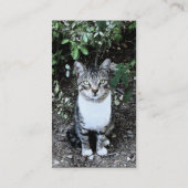 ZWARTE EN WITTE TURKSE CAT RONIN VISITEKAARTJE (Achterkant)