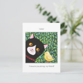 Zwarte en witte Tuxedo-kat met Hallo vriend Briefkaart (Staand voorkant)