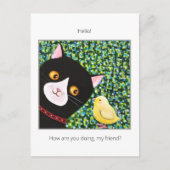 Zwarte en witte Tuxedo-kat met Hallo vriend Briefkaart (Voorkant)