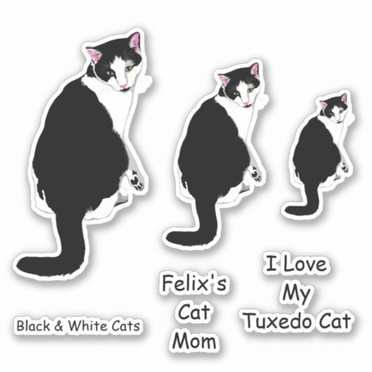 Zwarte en witte Tuxedo-katten Sticker (Voorkant)