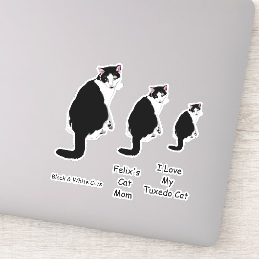 Zwarte en witte Tuxedo-katten Sticker (Detail)