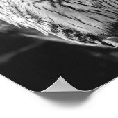 Zwarte en witte uil Majestic roofvogel Poster (Hoek)