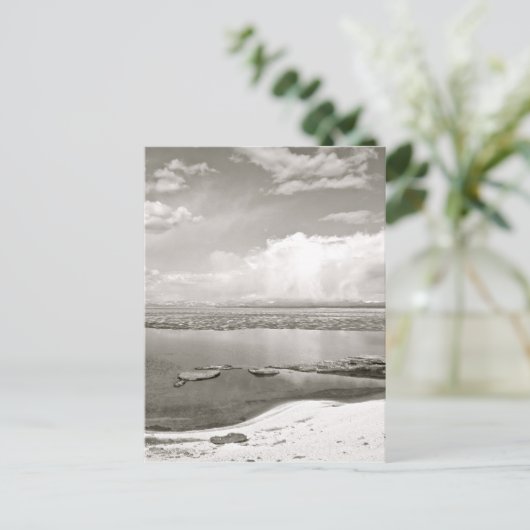 ZWARTE EN WITTE UITZICHT BRIEFKAART (Staand voorkant)