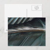 zwarte en witte veren briefkaart (Voorkant / Achterkant)