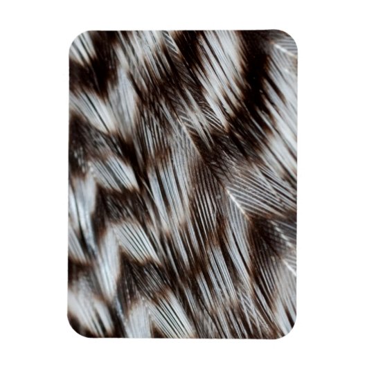 Zwarte en witte veren in detail magneet (Verticaal)