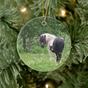 Zwarte en witte verf Pony in gras en bloemen Keramisch Ornament