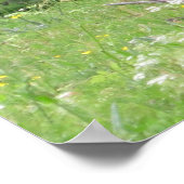 Zwarte en witte verf Pony in gras en bloemen Poster (Hoek)