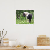 Zwarte en witte verf Pony in gras en bloemen Poster (Keuken)