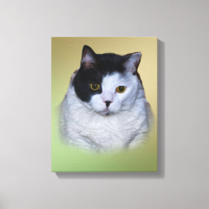 Zwarte en witte vetkat canvas afdruk