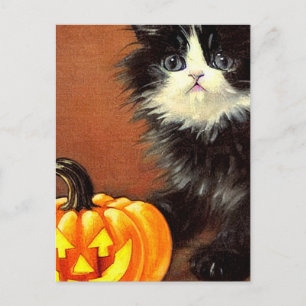 Zwarte en witte vintage Halloween kitten Briefkaart
