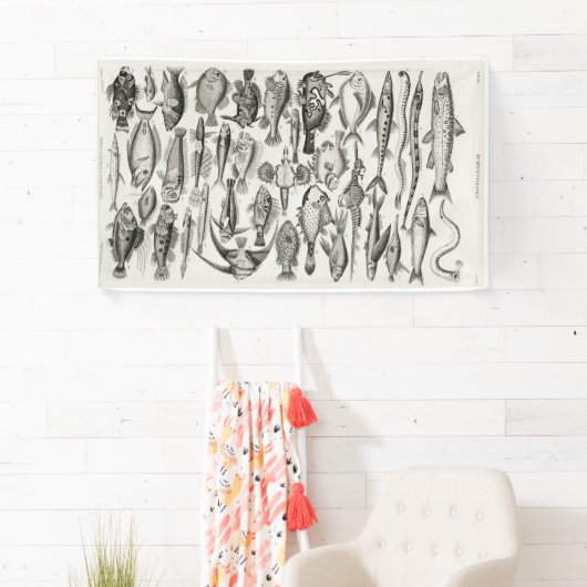 Zwarte en witte vis, oceaan, ichtyoloog spandoek (Insitu)