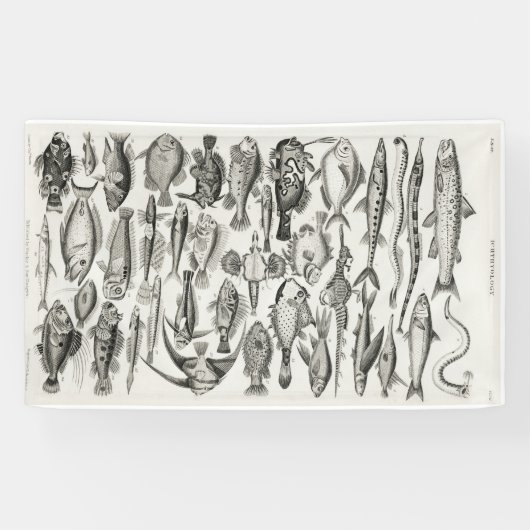 Zwarte en witte vis, oceaan, ichtyoloog spandoek (Horizontaal)