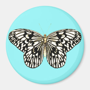 Zwarte en witte vlinder, achtergrond turkooizen magneet