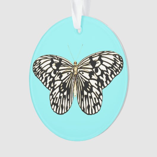 Zwarte en witte vlinder, achtergrond turkooizen ornament (voorkant)