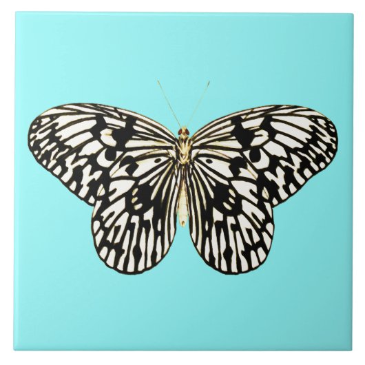 Zwarte en witte vlinder, achtergrond turkooizen tegeltje (Voorkant)
