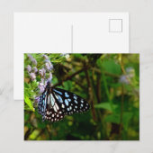 zwarte en witte vlinder briefkaart (Voorkant / Achterkant)