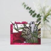 Zwarte en witte vlinder briefkaart (Staand voorkant)